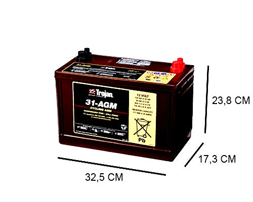 31-AGM TROJAN 100AH DEEP CYCLE BATTERY (TRACTIE), 12V